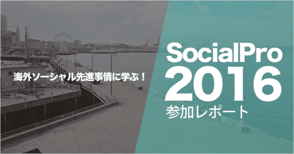 socialpro-2016-report_header